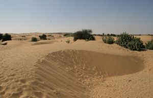 Dunes