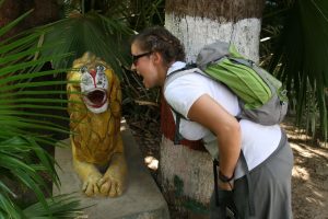 Choupi et le lion