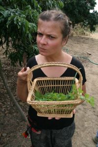 Choupi et ses herbes