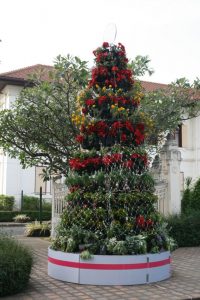 Sapin en fleurs