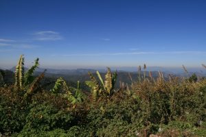 Vue depuis un viewpoint