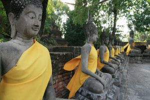 Buddhas sur leur 31