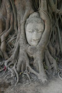 Buddha prisonnier au Wat Mahathat