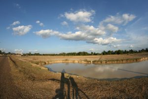 Campagne laotienne