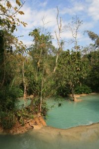 Piscine naturelle