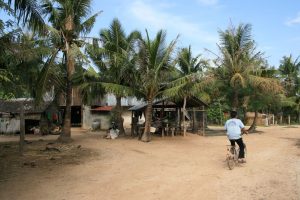 Campagne de Kampot