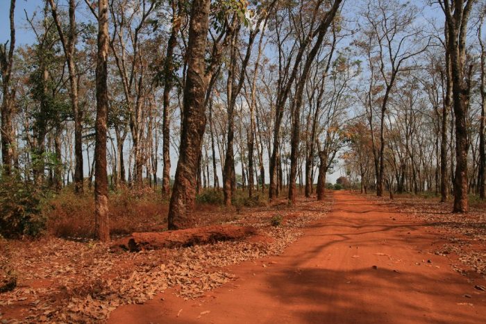 Au coeur du Ratanakiri : Banlung et ses cascades