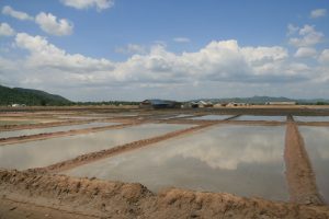 Salines de Kep