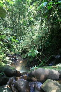 Haut d'une cascade