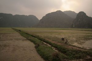 Rizières à perte de vue