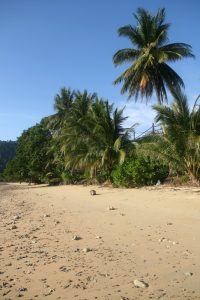 Plage de Pulau Tioman
