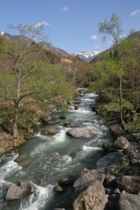 Torrent de montagne