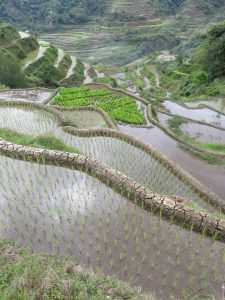 Rizières de Banaue