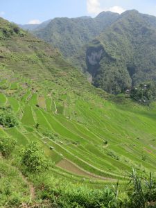 Rizières de Batad