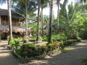 Le jardin de la guesthouse