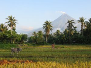 Volcan au lever du jour