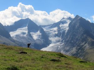 Vue sur les glaciers