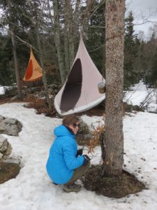 Sièges suspendus dans la forêt