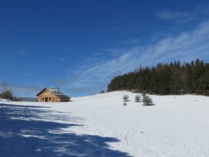 Cabane perdue