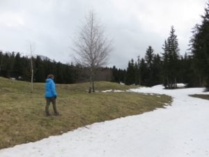 Pistes de ski de fond