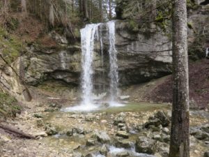 Cascades en forêt